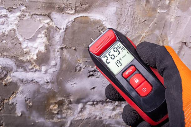 Mold Removal Process in University Park, NM