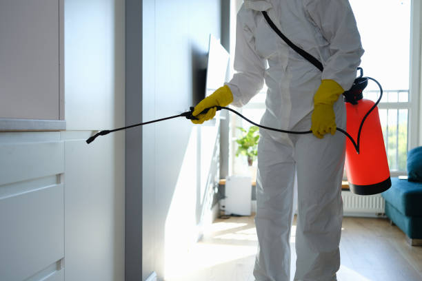 Best Mold Removal Process  in University Park, NM